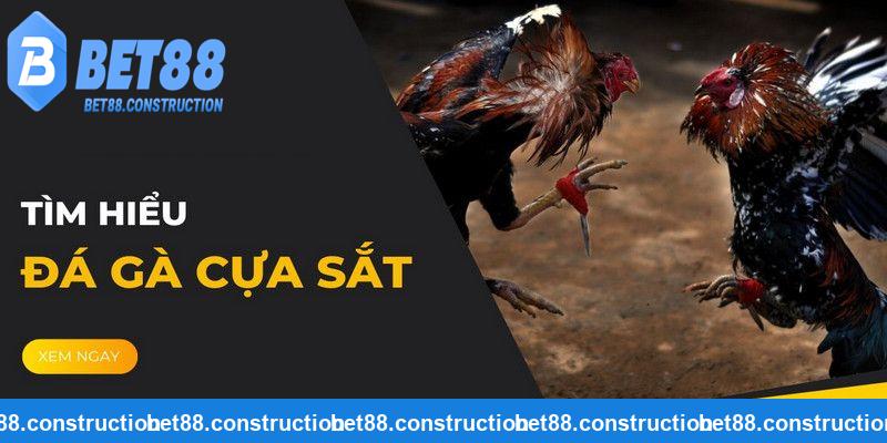 Đá Gà Cựa Sắt Bet88