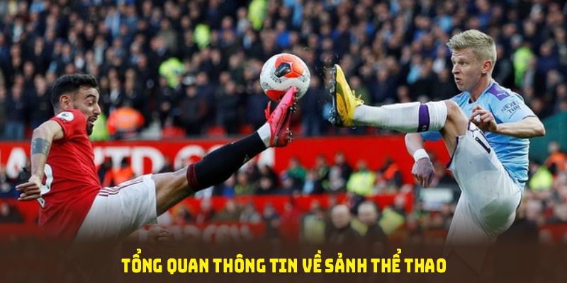 Tổng quan thông tin về sảnh Thể thao BET88 không thể bỏ lỡ